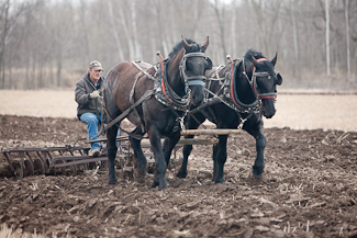 Photo link to 2009 Spring Plow Day